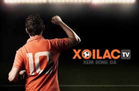 Xoilac-tv.media: Xem bóng đá miễn phí, không cần đăng ký
